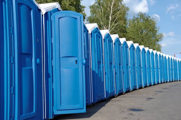 Best Sanitation services for porta potties  in Appleton, WI